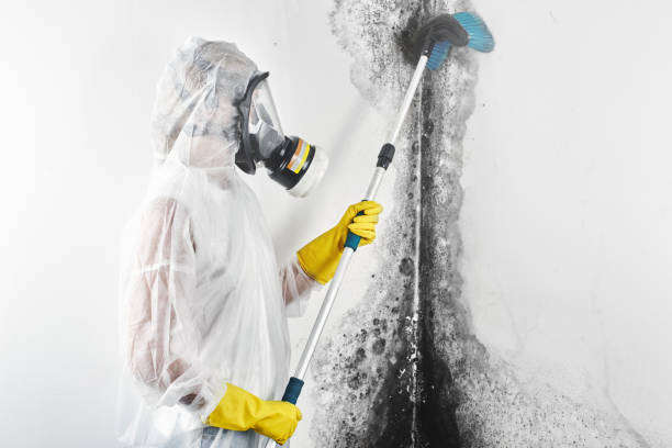 Best Forensic Mold Investigation  in Tarrant, AL