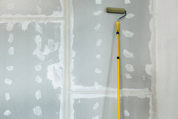 Forensic Mold Investigation in Tarrant, AL