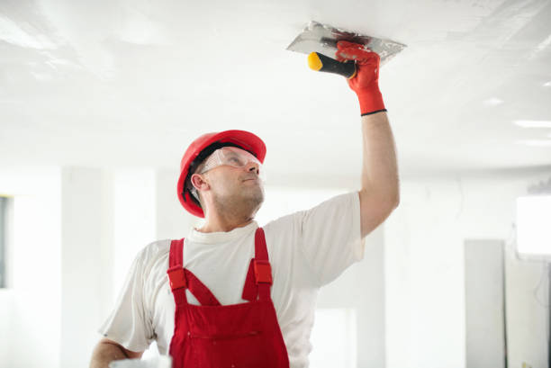 Best Post-Construction Mold Inspection  in Tarrant, AL
