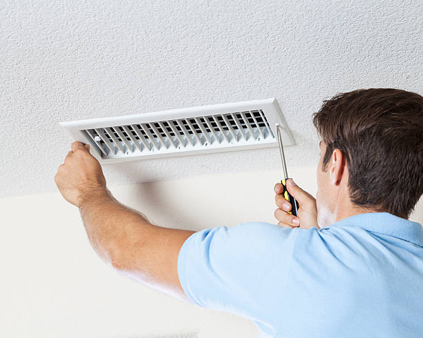 Best Environmental Consulting for Mold Prevention  in Tarrant, AL