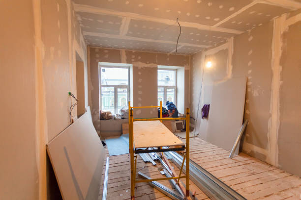 Best Black Mold Removal  in Tarrant, AL